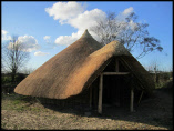 Reconstruction